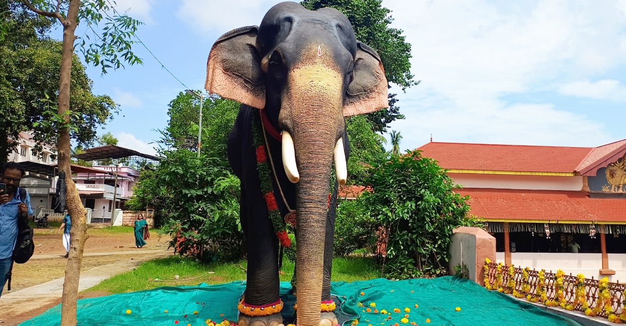 Shankaramkulangara Manikandan was a popular elephant known for its constant presence at Thrissur pooram. Photo: Special Arrangement