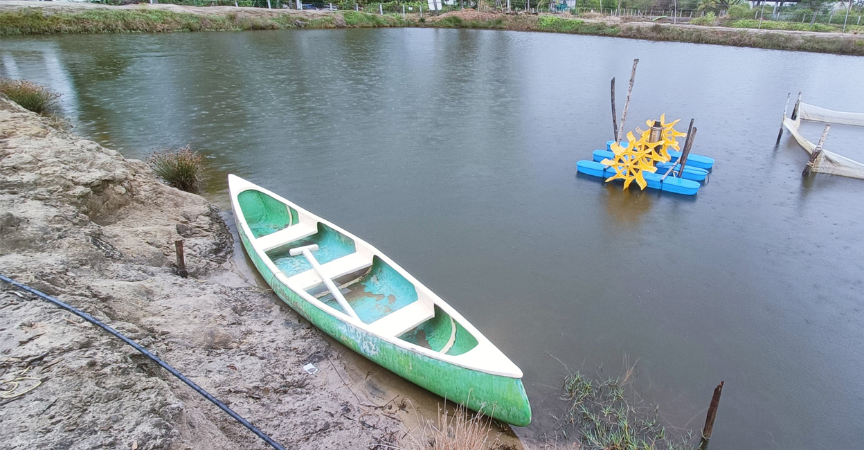 Boats that have not implemented uniform colour coding should be colour-coded during the trawling ban period. File  Image/Manorama