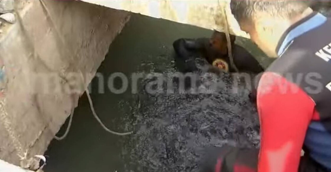 Search inside manhole. Photo: Screengrab/ Manorama News