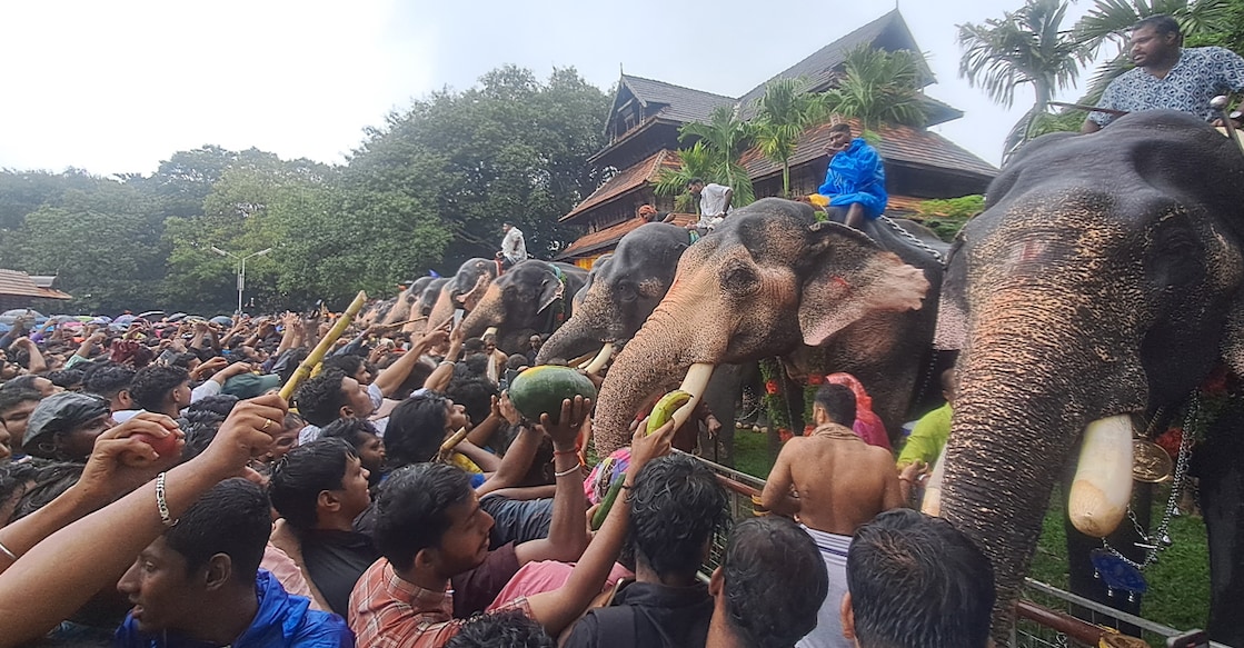 Aanayoottu at Thrissur Vadakkunnathan Temple. Photo: Special Arrangement.