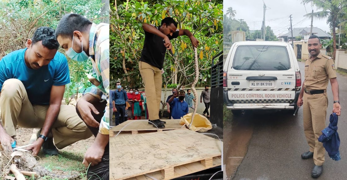 shebin-police-snake-ls Shebin is the only cop in Kerala police who is a certified snake handler. Photos: Special arrangement.