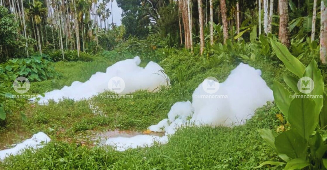 White form over a stream at Kadiyodu near Mukkom in Kozhikode. Photo: Special arrangement