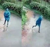 Kannur police 'follow in footsteps' of accused, use forensic gait analysis to uncover identity