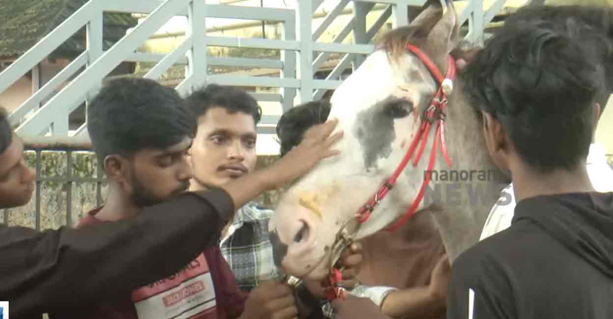 Photo: Screengrab/Manorama News