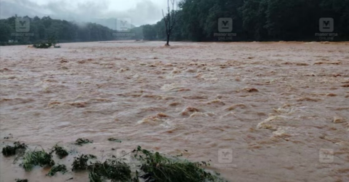 The bodies were spotted in the Iruttukuthi, Pothukallu, Panamkayam and Bhoodanam areas of the river. Photo: Manorama