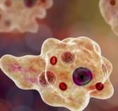 14-yr-old tests positive for amoebic meningitis in Kozhikode; fourth case in two months