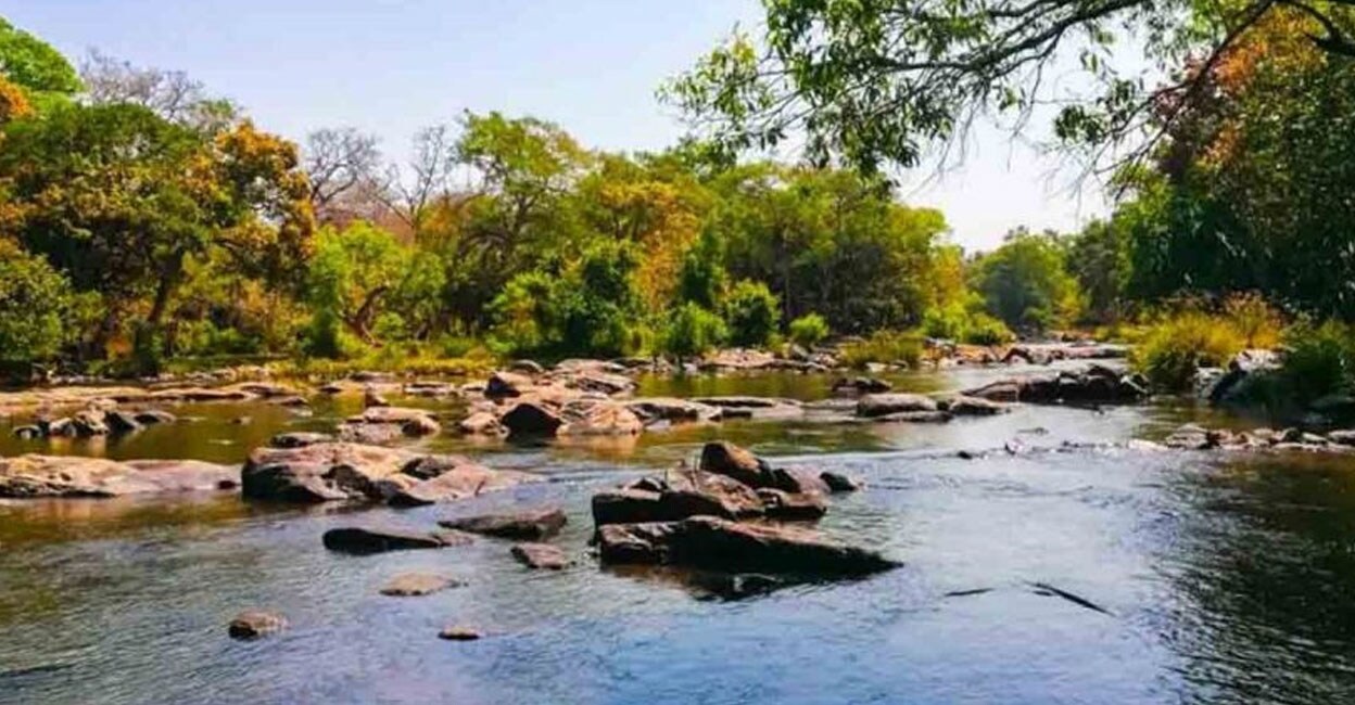 A file photo of the Kuruva Islands in Wayanad.
