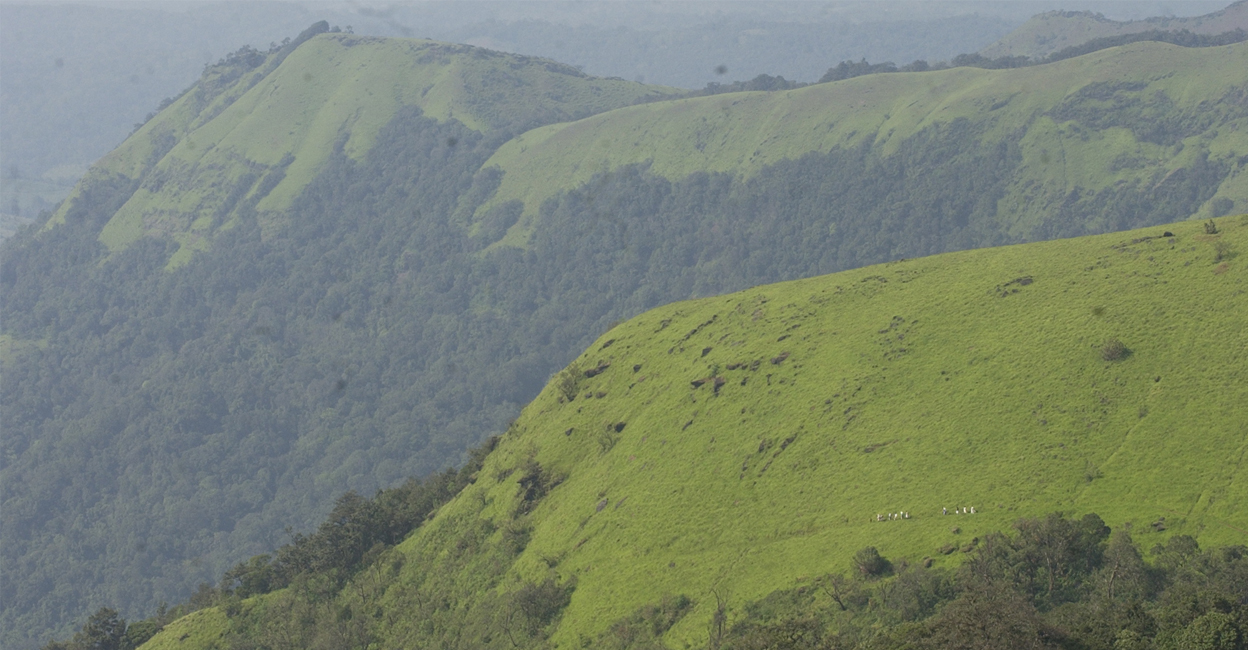 A picture of the Western Ghats. Photo: Manorama