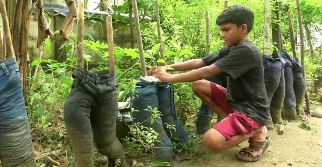 Abhinav at his farm. Photo: Manorama News
