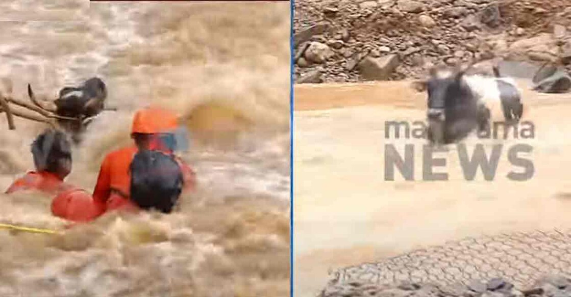 River in Chooralmala. Photo: Manorama News