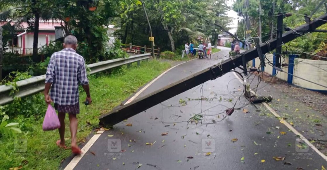 rain-havoc-ls Kottayam also faced significant disruptions, with numerous tree falls reported across the district, particularly in Kottayam and Kumarakom. Photo: Manorama.