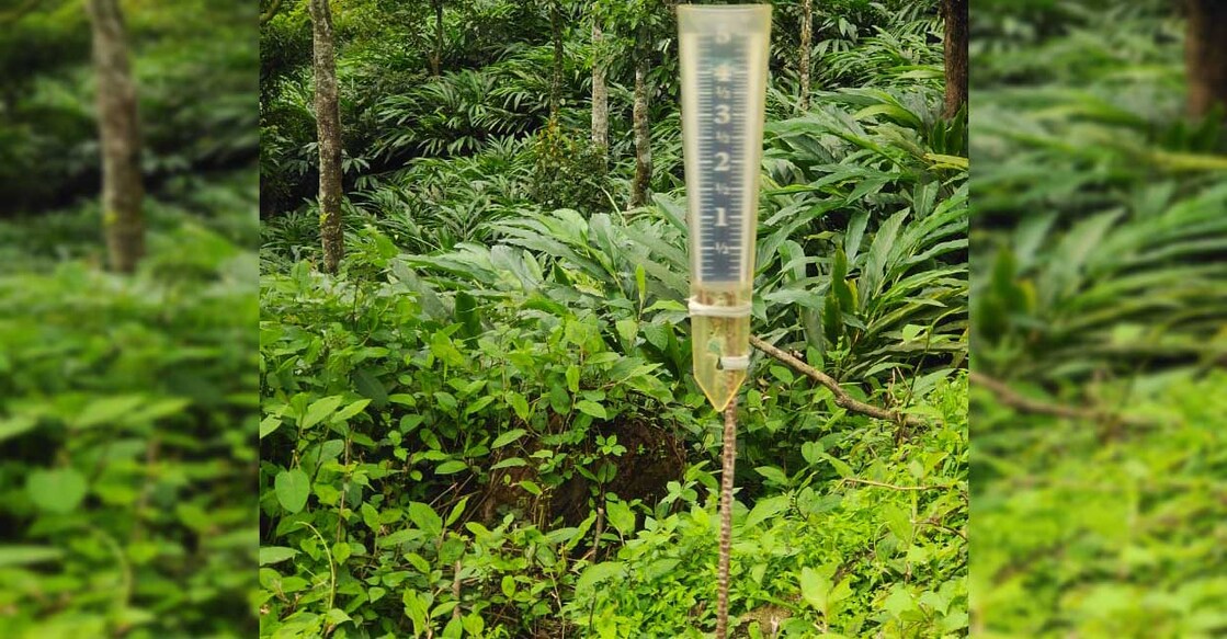 Cardamon planters in Idukki have installed rain gauges in places like Munnar, Adimali and Vandiperiyar. Photo : Special arrangement Cardamon planters in Idukki have installed rain gauges in places like Munnar, Adimali and Vandiperiyar. Photo : Special arrangement