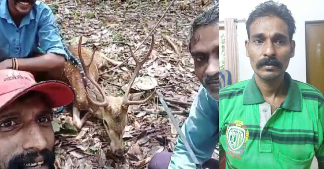 deer-hug.jpg The gang caught a deer, tied up the animal and shot photos and videos; Vinod. Photo: Special Arrangement