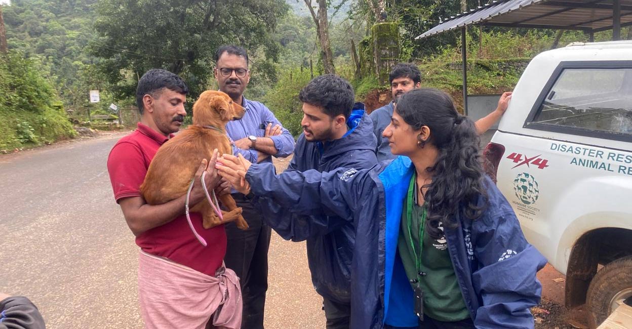 animal-rescue-wayanad-landslide-ls The vets were able to rescue some animals which were locked up inside bathrooms. Photo: HSI