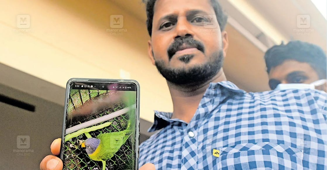 K M Vinod, a resident of Chooralmala, showing the picture of his pet parrot named ‘Kingini.’ Photo: Manorama