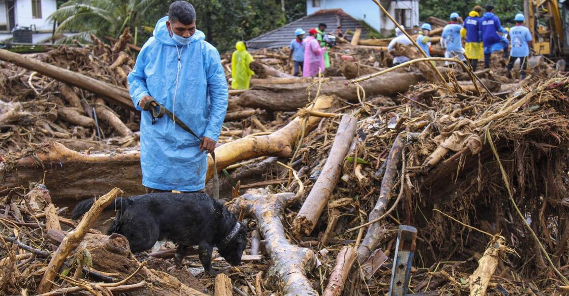 A military special dog during a search operation to trace bodies from the landslide-hit area, at Chooralmala in Wayanad. File Photo: PTI