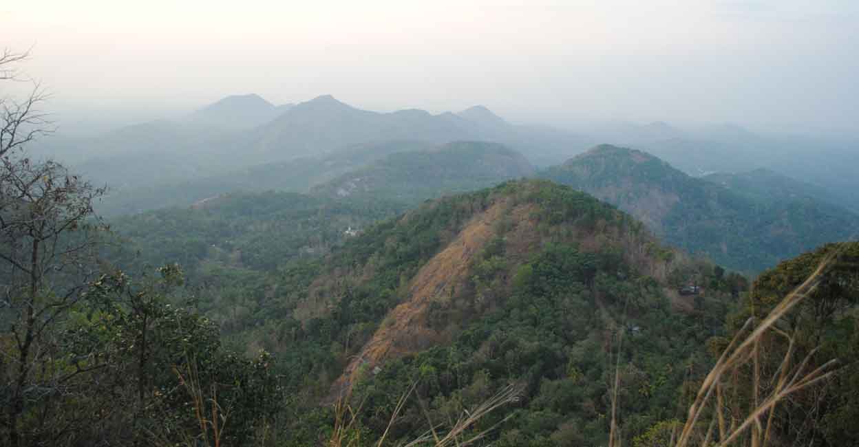 A view of Perumkunnu Hills. Photo: Special arrangement