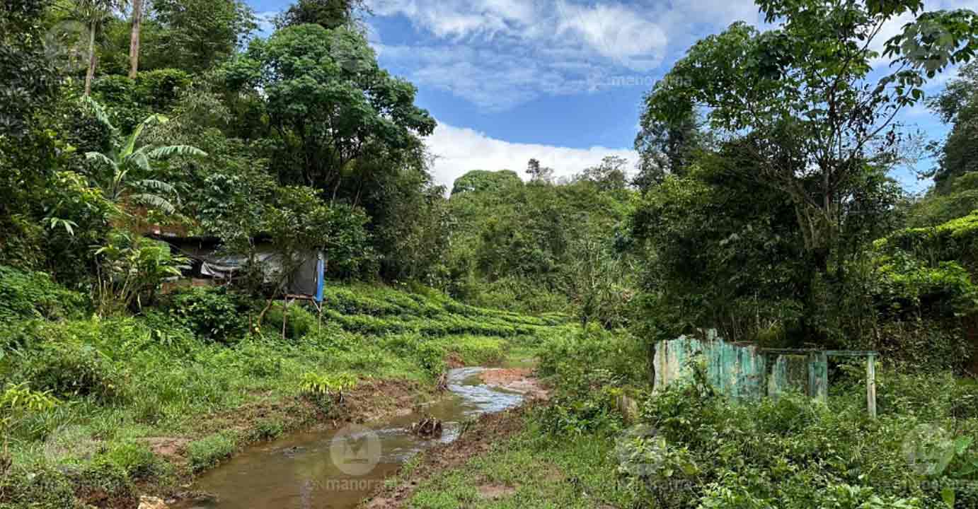 Puthamala in Wayanad. Photo: Aashish Manoli