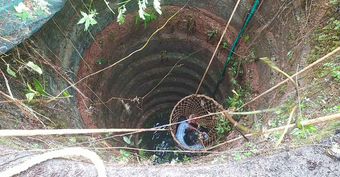 The college student is rescued from the well. Photo: Special arrangement
