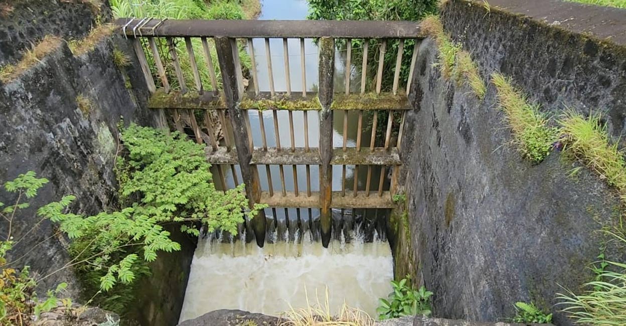 Athul was initially swept away, and Appu ventured into the water to save him. Both of them got washed away into the tunnel. Photo: Special arrangement. 
