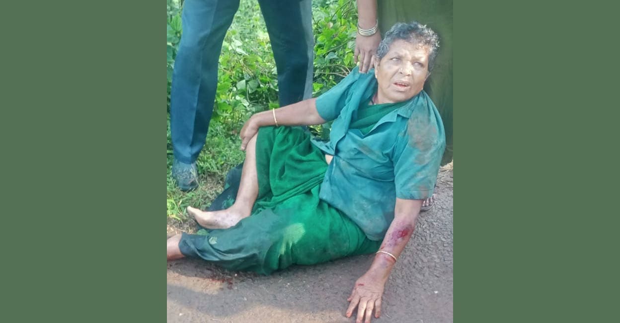 60-year-old Haritha Karma Sena worker injured while fleeing from wild ...