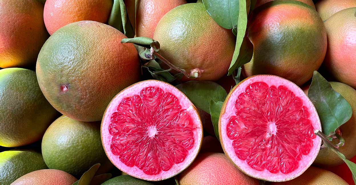 Pomelo Pomelo. Photo: Shutterstock/piece_ov_art