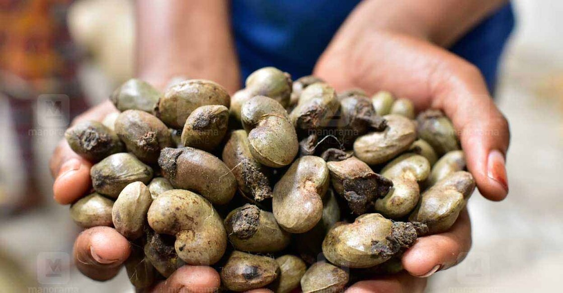 Representational Image. Photo: AFP/ISSOUF SANOGO