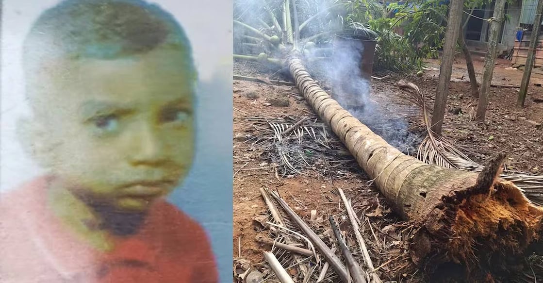 Photo: Special arrangement. 