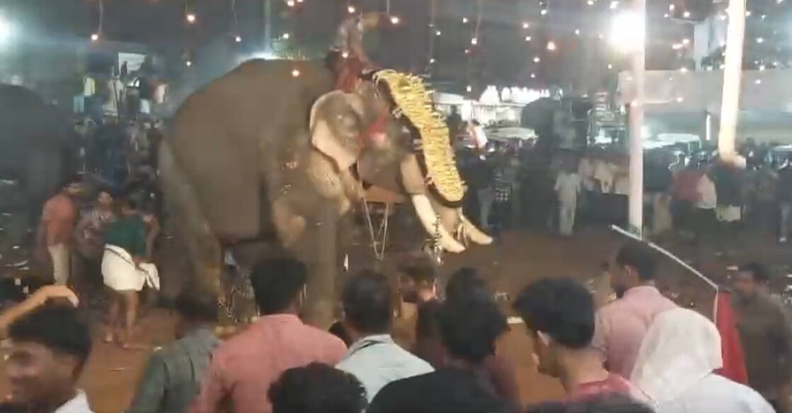 The elephant, Paakkath Sreekuttan, grabbed a person with its trunk, twisted him, and hurled him into the crowd. Photo: Special arrangement. 