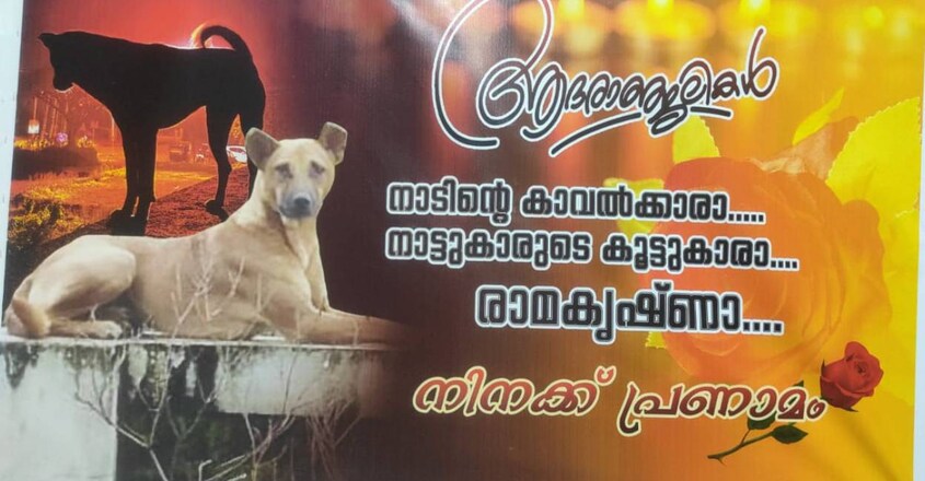 kasaragod-dog-death kasaragod-dog-death