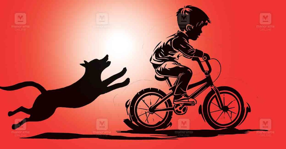 Representational Image. Photo: Manorama Online