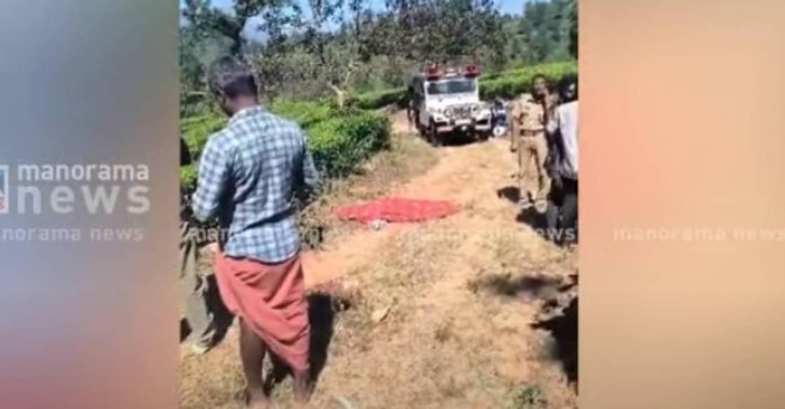 wild-elephant-attack-death-wayanad The attack took place in the HML plantation on Tuesday night. Photo: Screengrab / Manorama