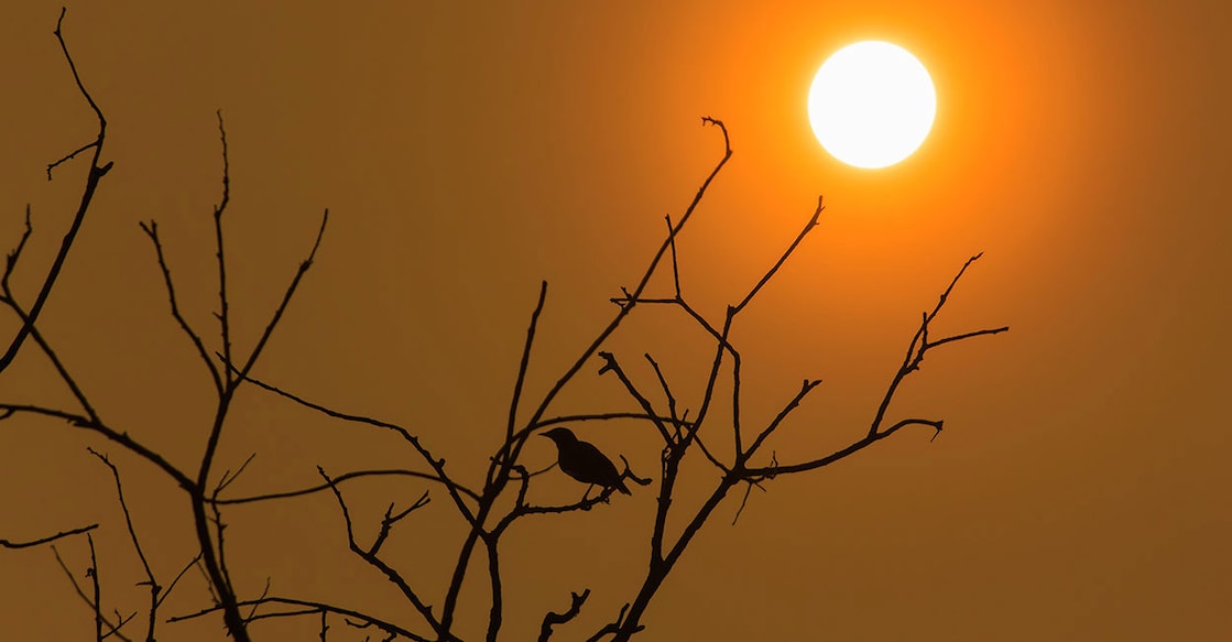 Representational image. Photo: iStock/ kong24122544