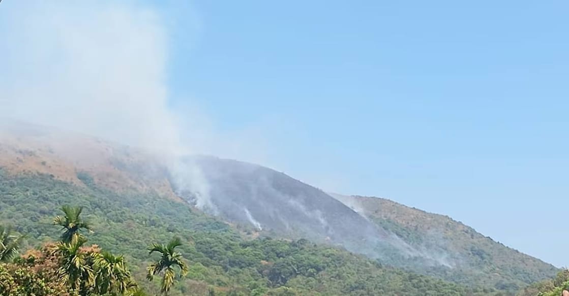 Large sections of grassland have been reduced to ashes, raising concerns about wildlife movement. Photo: Special arrangement. 