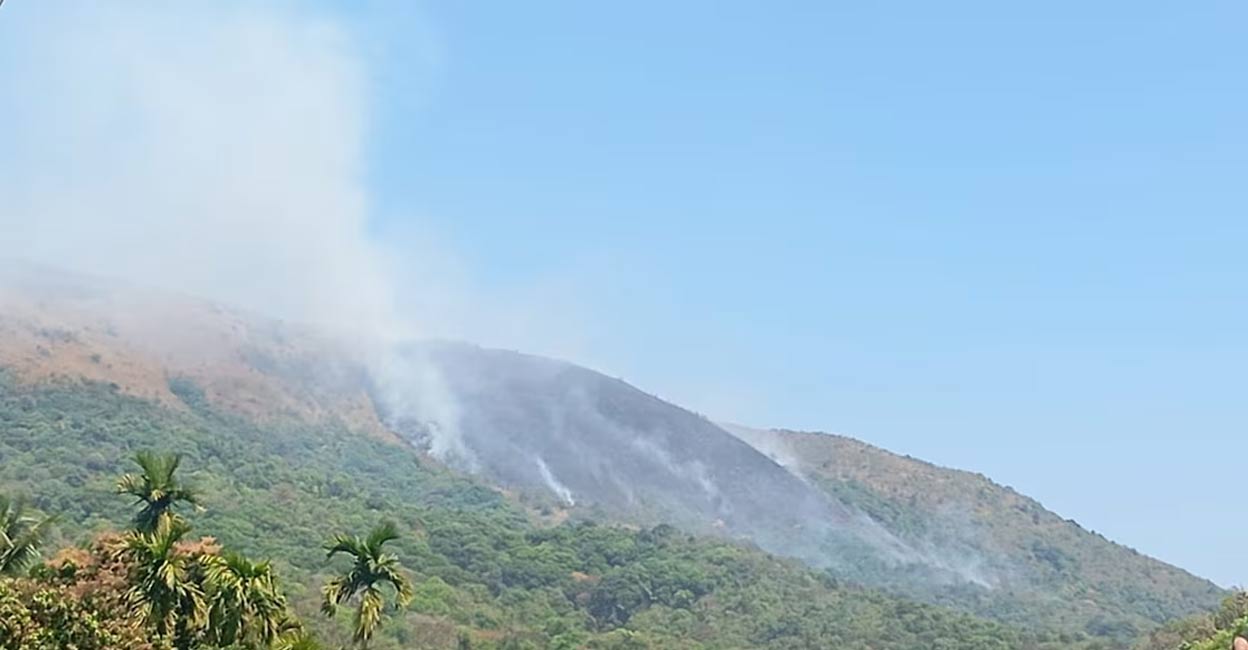 Large sections of grassland have been reduced to ashes, raising concerns about wildlife movement. Photo: Special arrangement. 
