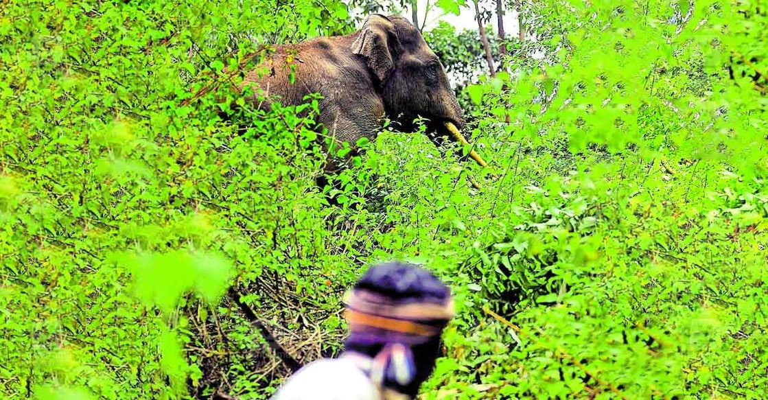 Representational image. File photo: Manorama