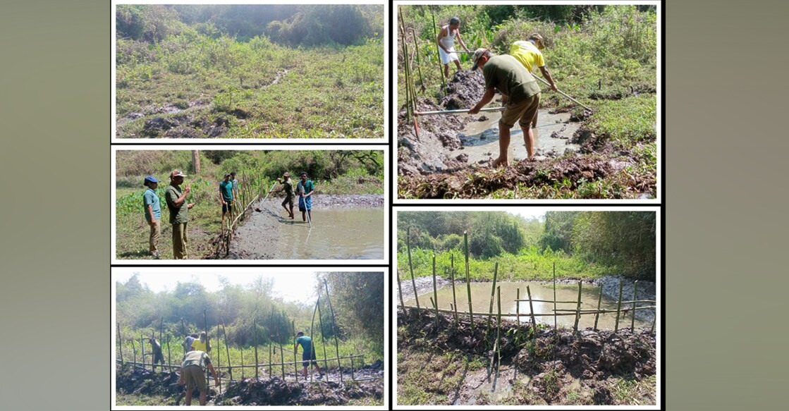 The department is constructing brushwood check dams in jungle streams at all possible locations. Photo: Special Arrangement