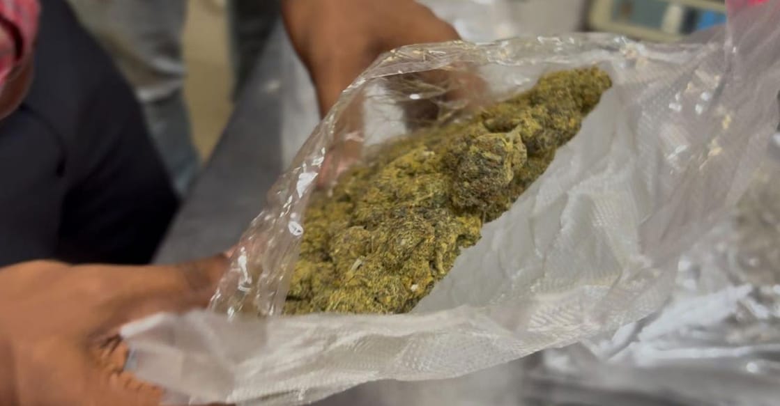 ganja The hybrid ganja is worth Rs 1 crore. Photo: Special Arrangement
