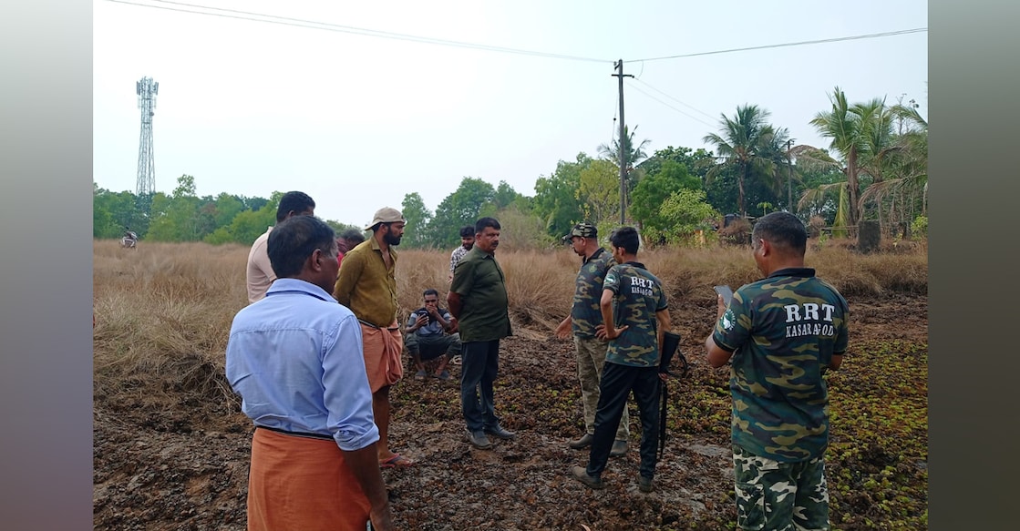 leopard attack Rapid Response Team checking for pug marks at Ayampara in Kasaragod's Pullur-Periya grama panchayat. - Special Arrangement