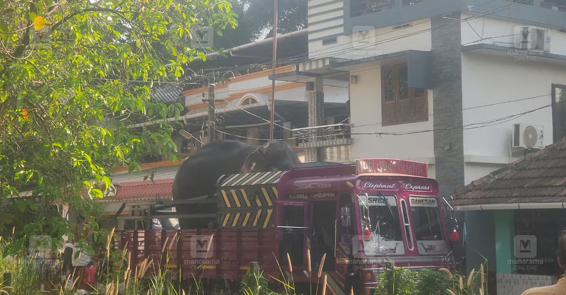 The incident occurred at the Brahmakulam Painkinikkal Temple, where the elephant, Chirakkal Ganesan, was brought for a festival. Photo: Manorama