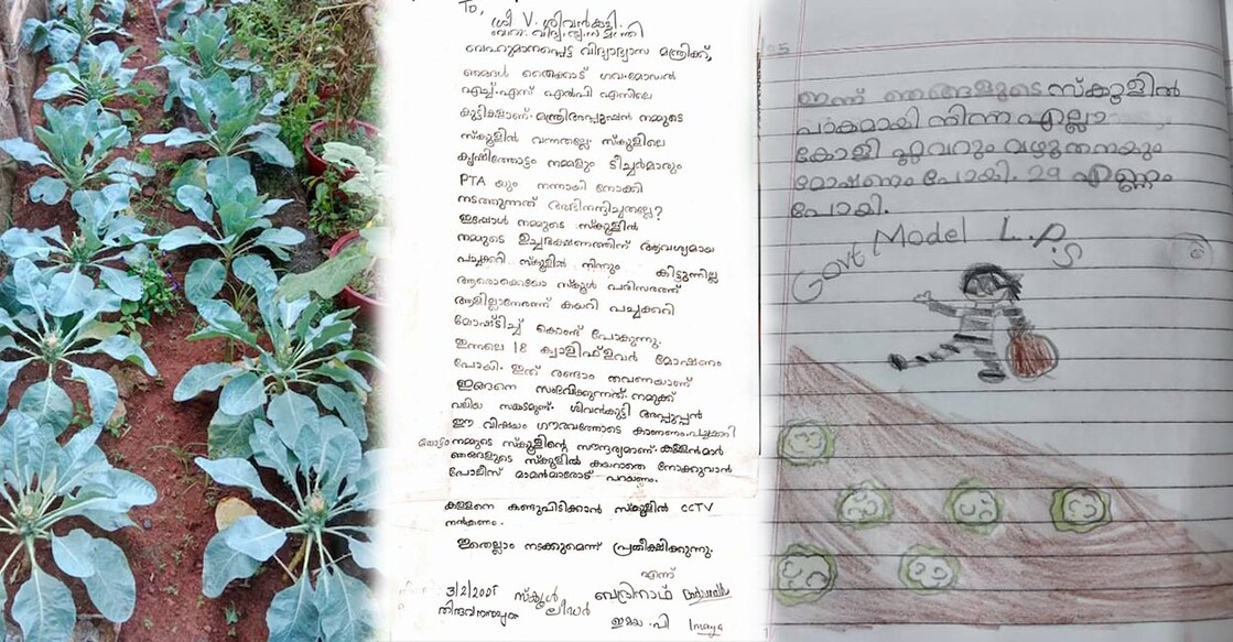 thycaud-vegetable-theft