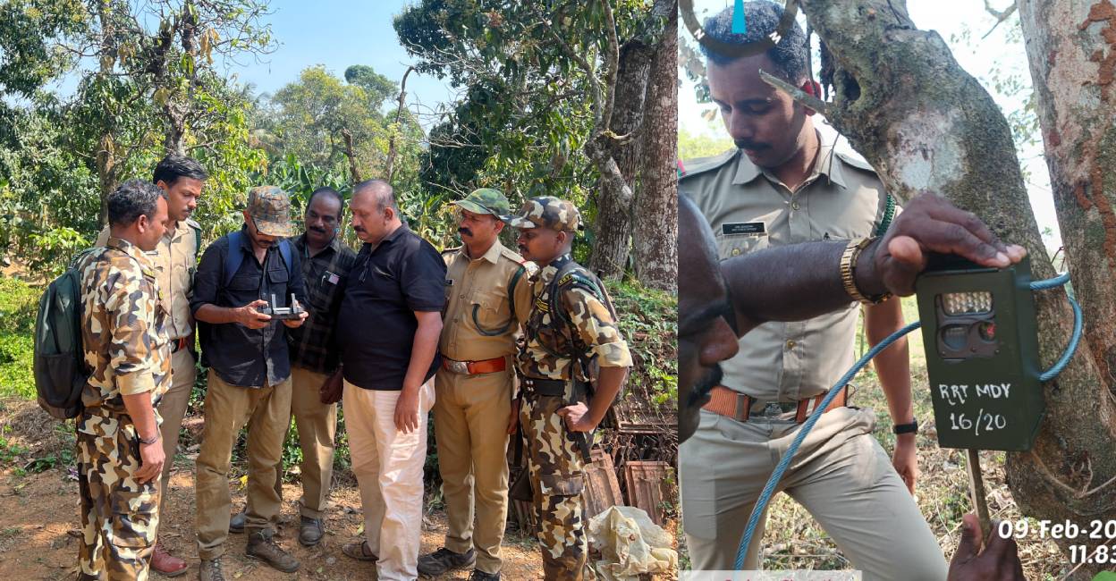Forest officials deployed for searching tiger. Photo: Special Arrangement