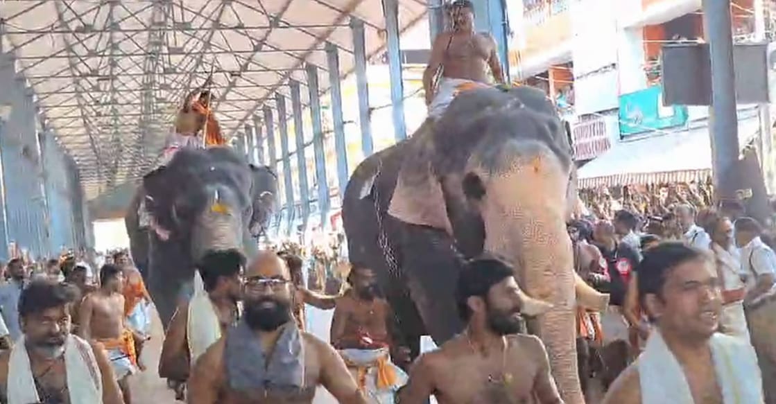 The event saw fierce competition from elephants Chenthamarakshan, Devi, Devadas, and Nandan, with Balu first reaching the temple tower (Gopuram). Photos: Special arrangements. 