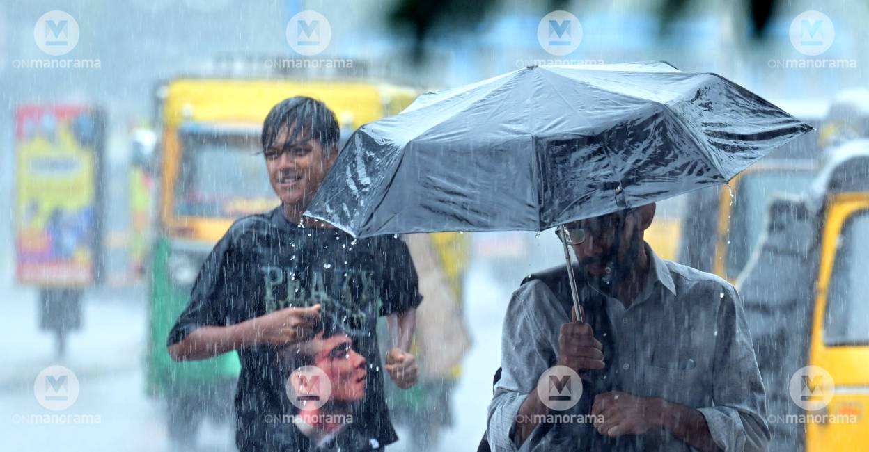 Summer rain in Kerala: Yellow alert in 4 districts today