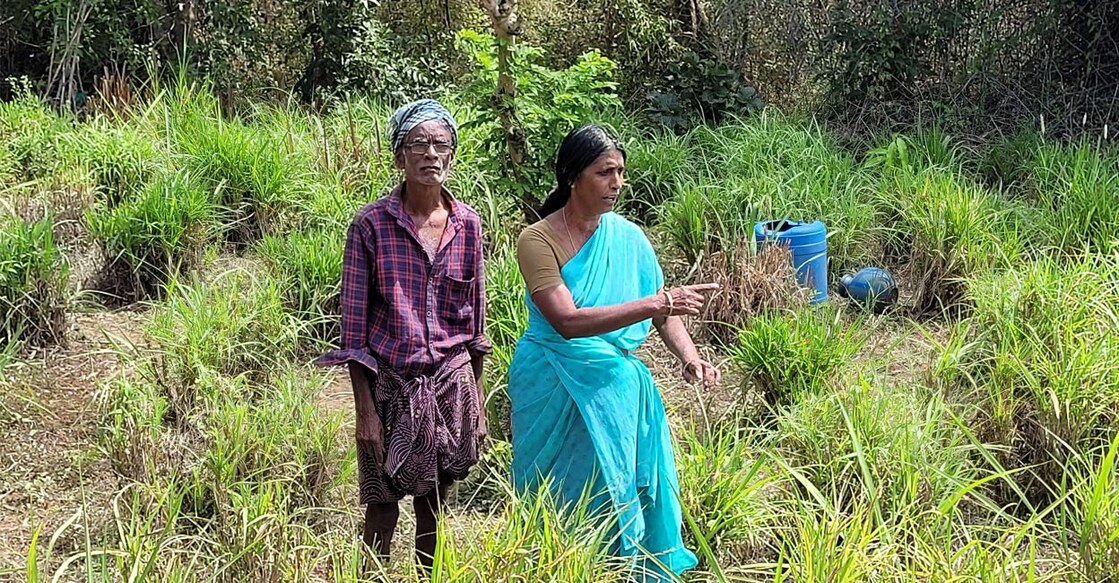Radhakrishnan and Rugmini. Photo: Special arrangement. 