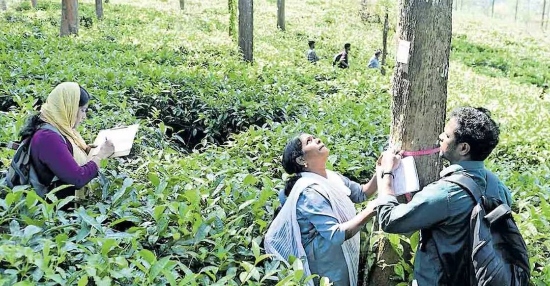 Officials conduct survey at Elston Estate as part of land aquistion for township project. Photo: Manorama