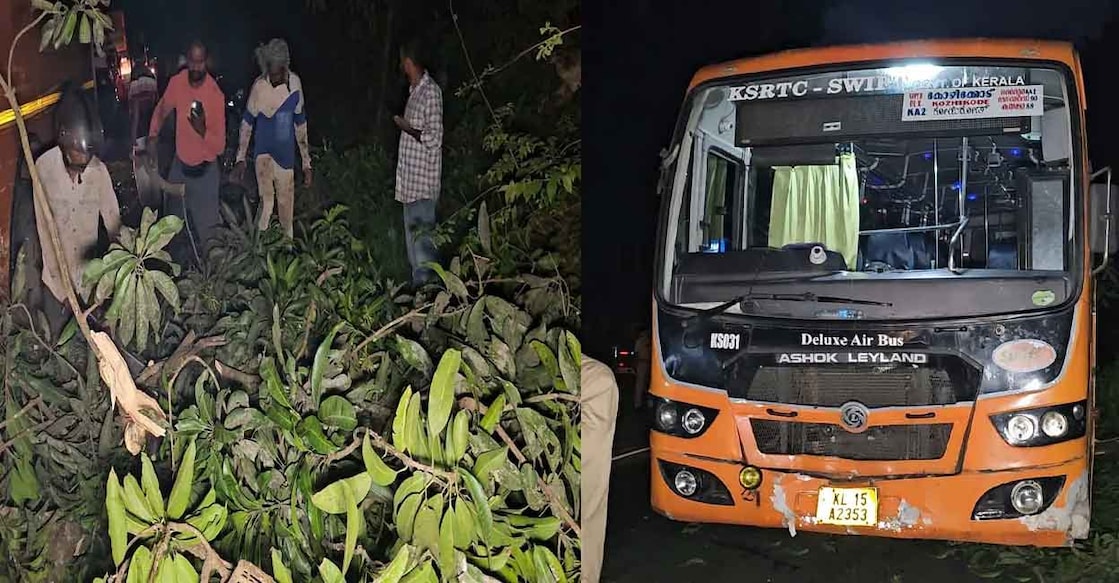 Broken tree branch, KSRTC Swift bus. Photo: Manorama