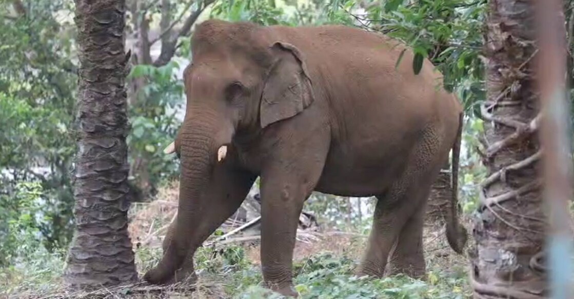 ezhattumukham-ganapathi ezhattumukham-ganapathi