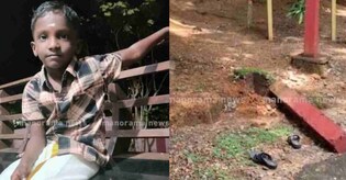 Four-year-old boy dies as concrete pillar topples at Konni Elephant Centre