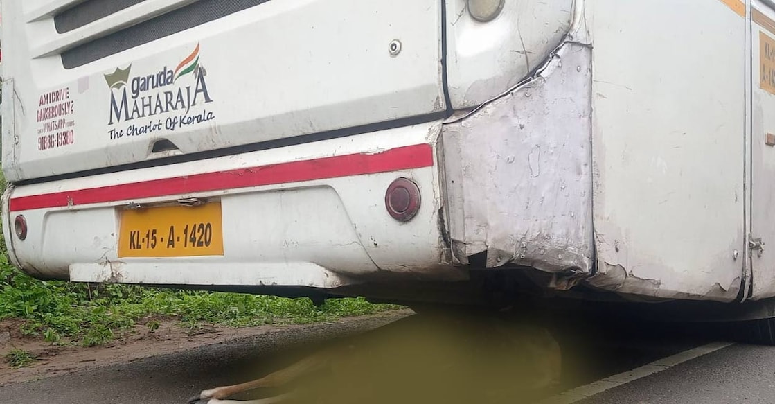 ksrtc-deer According to authorities, the accident happened after the bus continued its journey after dropping a few passengers at the Sulthan Bathery KSRTC depot. Photo: Special arrangement.